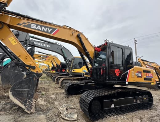 Building a solid foundation for the development and cultivation